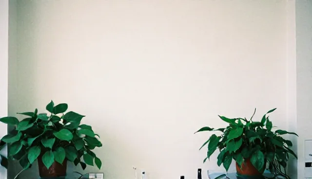 网络技术咨询中网站建设的两种做法比较与取舍